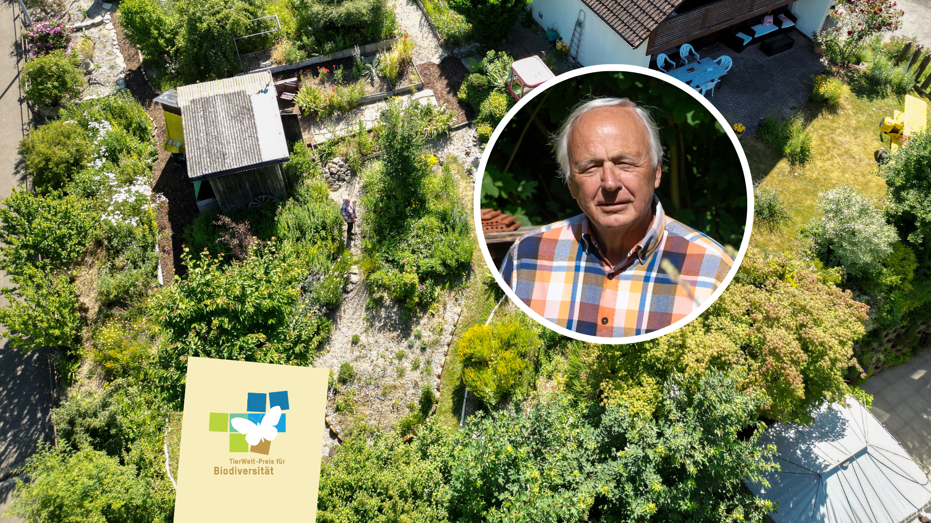 Ernst Denzler: BeeParadise am Tulpenrain