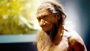 Bestimmte Gene auf dem männlichen Geschlechtschromosom der Neandertaler könnte dafür gesorgt haben, dass Neandertaler und Homo sapiens nicht mehr miteinander vermischt haben.