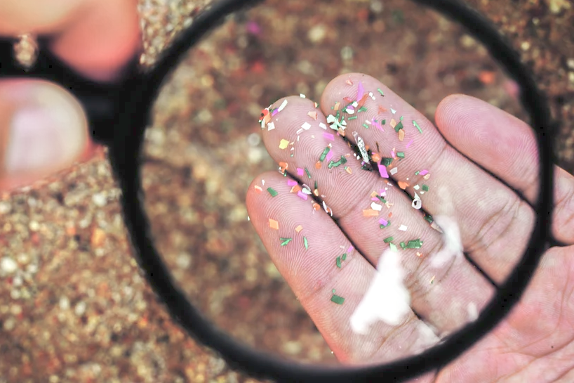 Mikroplastik ist überall