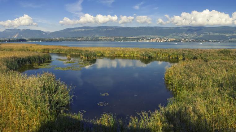 Neuenburgersee