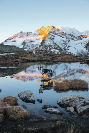 Um diesen Sonnenaufgang am See im Engadin zu geniessen, ist Sarah Stangl ganz alleine mit ihren zwei Hunden hochgewandert. Dabei habe sie die Stille, die unglaubliche Präsenz sowie die Schönheit der hohen Berge genossen. Sie findet, dass Spiegelbilder fotografisch eine grosse Anziehungskraft haben.