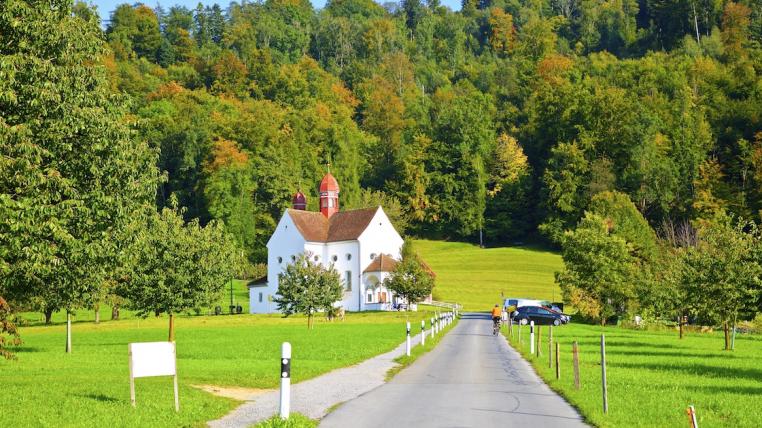 Wald in Zug