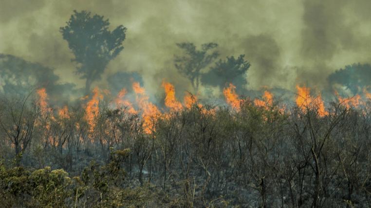 amazonas-braende-gesunken.jpg