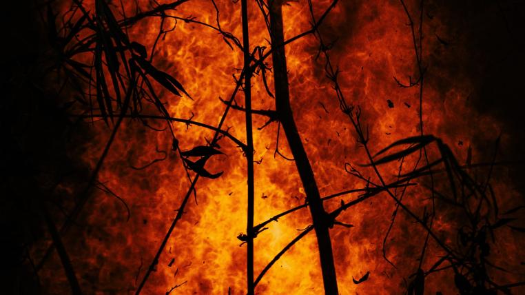 Waldbrand