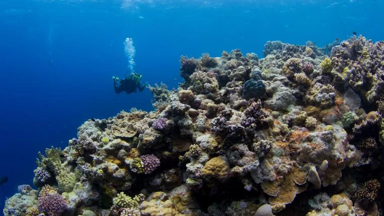 3a93f89764388dc923c31de31fd90939150679ac barrier_reef.jpg