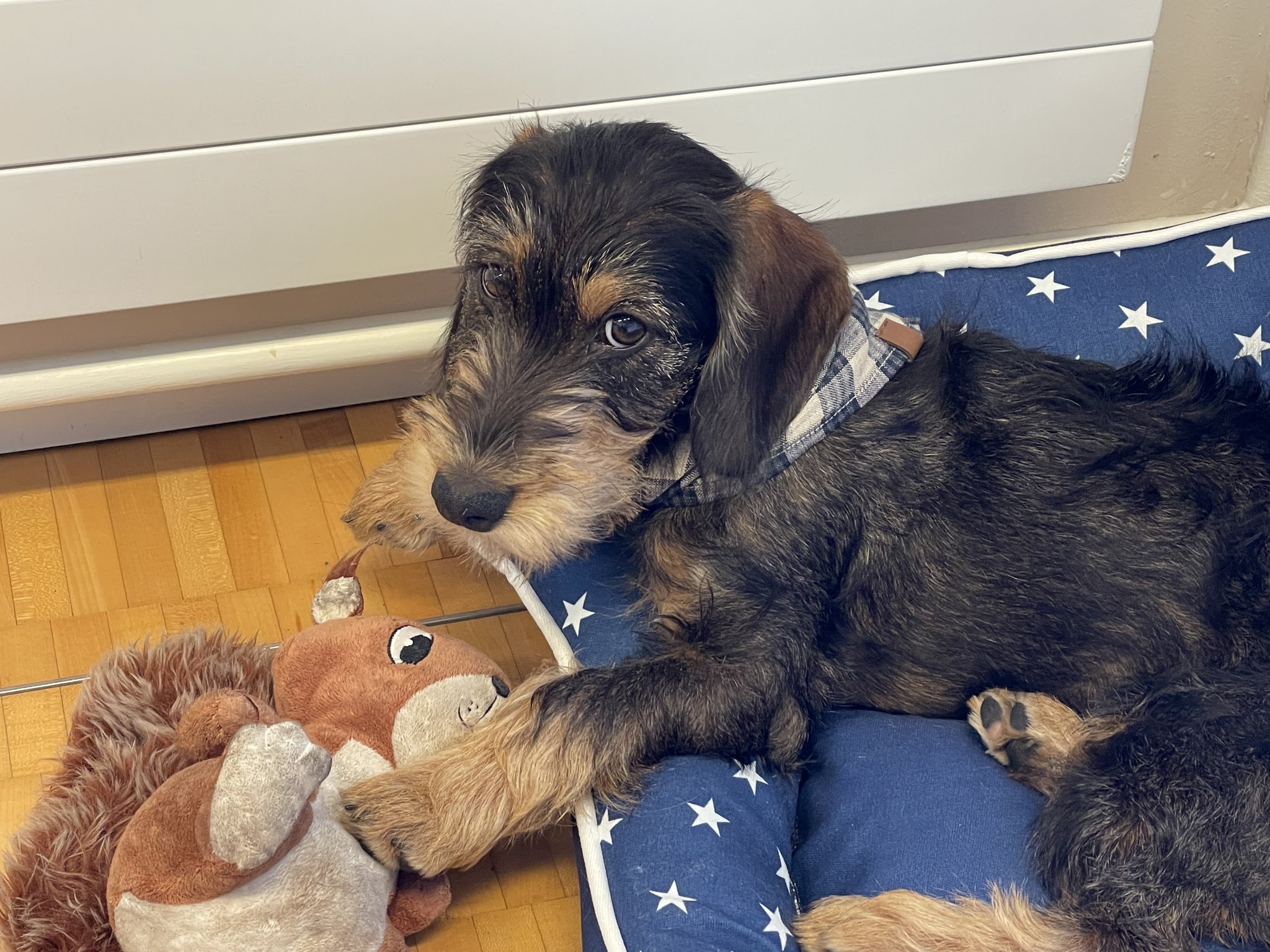 Der erste Tag im Büro