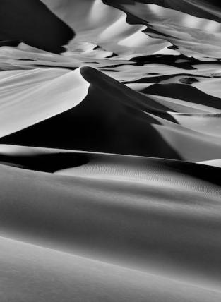 11_Sebastiao Salgado_Genesis.jpg