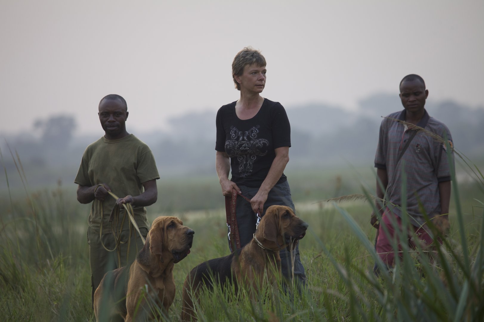Wie eine Aargauerin im Kongo mit Bluthunden gegen Wilderei kämpft