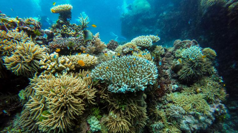 Great Barrier Reef