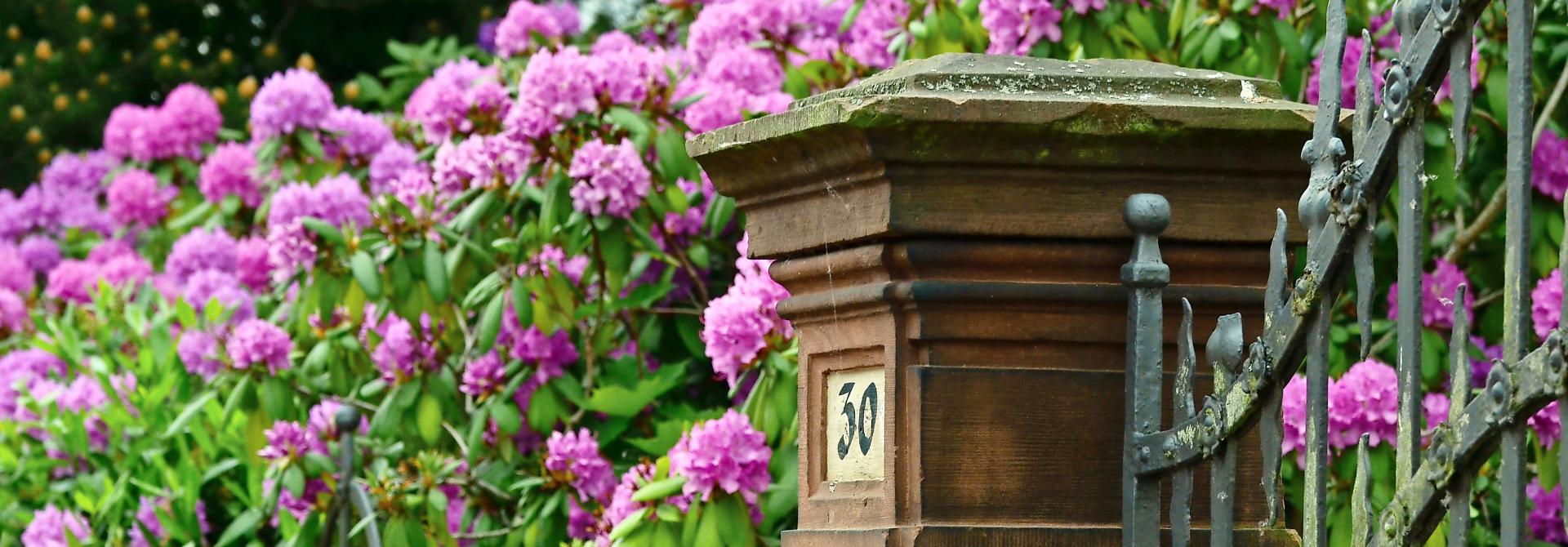 Vorgarten mit Bluem