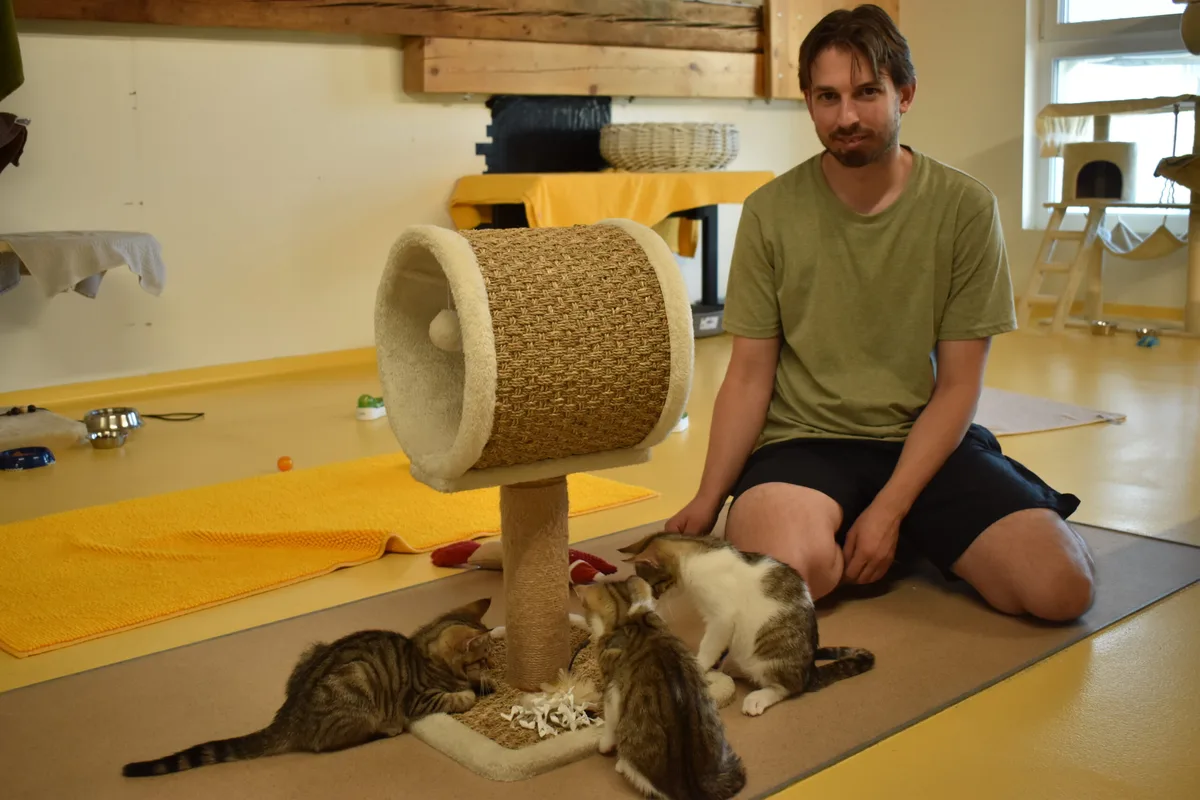 Joel Hofer 1 Wegen der Flut an Katzen schrieb Joël Hofer, Leiter des Katzenheims Muttenz, einen Hilferuf auf Facebook.