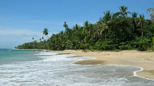 Der kleine zentralamerikanische Staat Costa Rica sieht sich als Vorreiter in Sachen erneuerbare Energien.
