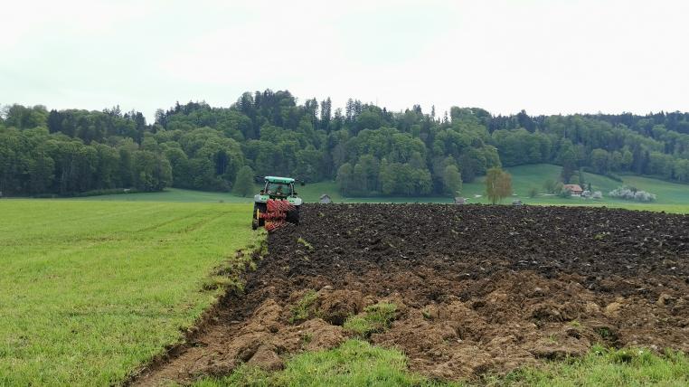 Pflug