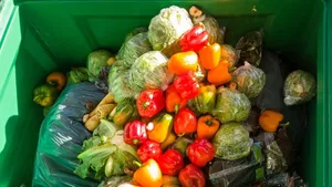 Food Waste ist nicht nur schlecht für die Umwelt, sondern auch für das Portemonnaie.