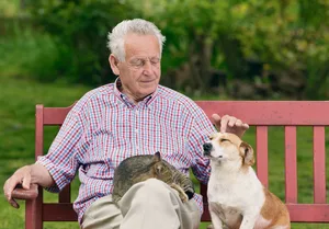 Bei der tiergestützten Therapie geht es um die Verbesserung psychischer, kognitiver, verhaltens-bezogener oder emotionaler Funktionen.