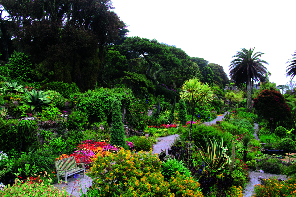 botanischer Garten