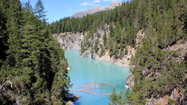 Schweizerischer Nationalpark