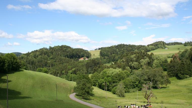 Turbenthal im Tösstal im Zürcher Berggebiet