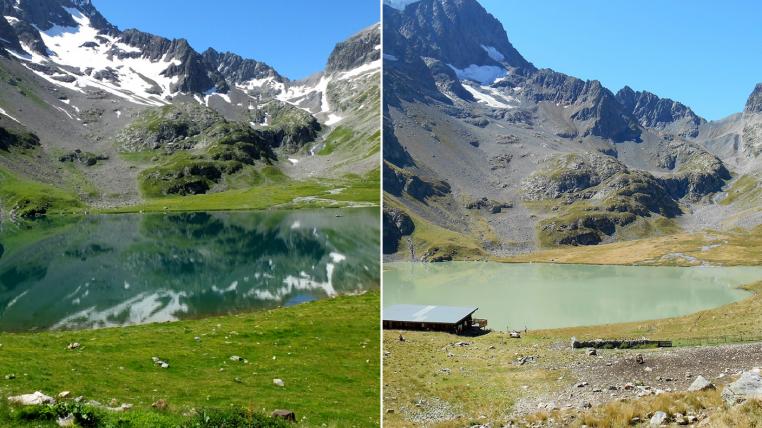 lac-de-muzelle.jpg