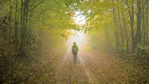 In Experimenten nahmen bei Kranken, die durch den Wald spazierten, die Schmerzen ab.