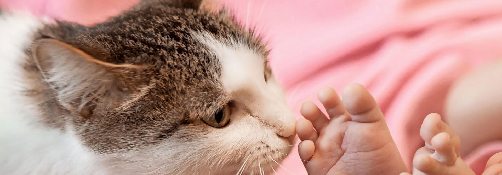 katze-und-baby.jpg