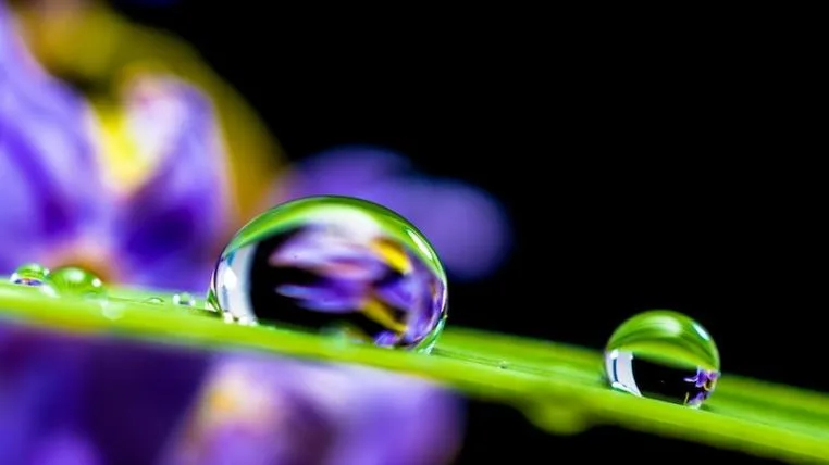 6d658a3f001b7b8d251587e7a0288b49fc523214 Wasser rein