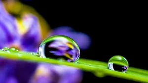 Sieht rein aus, ist es aber in der Natur nie: An der Oberfläche des Wassers lagern sich stets dünne Molekülschichten ab.