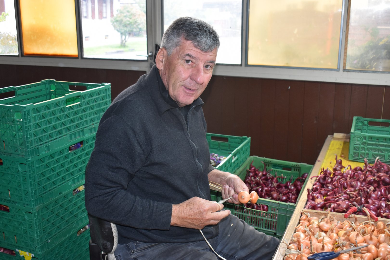 Wie viel Arbeit im Zwiebelzopf steckt: Hansueli Jampen aus Müntschemier (BE) bewahrt ein altes Handwerk