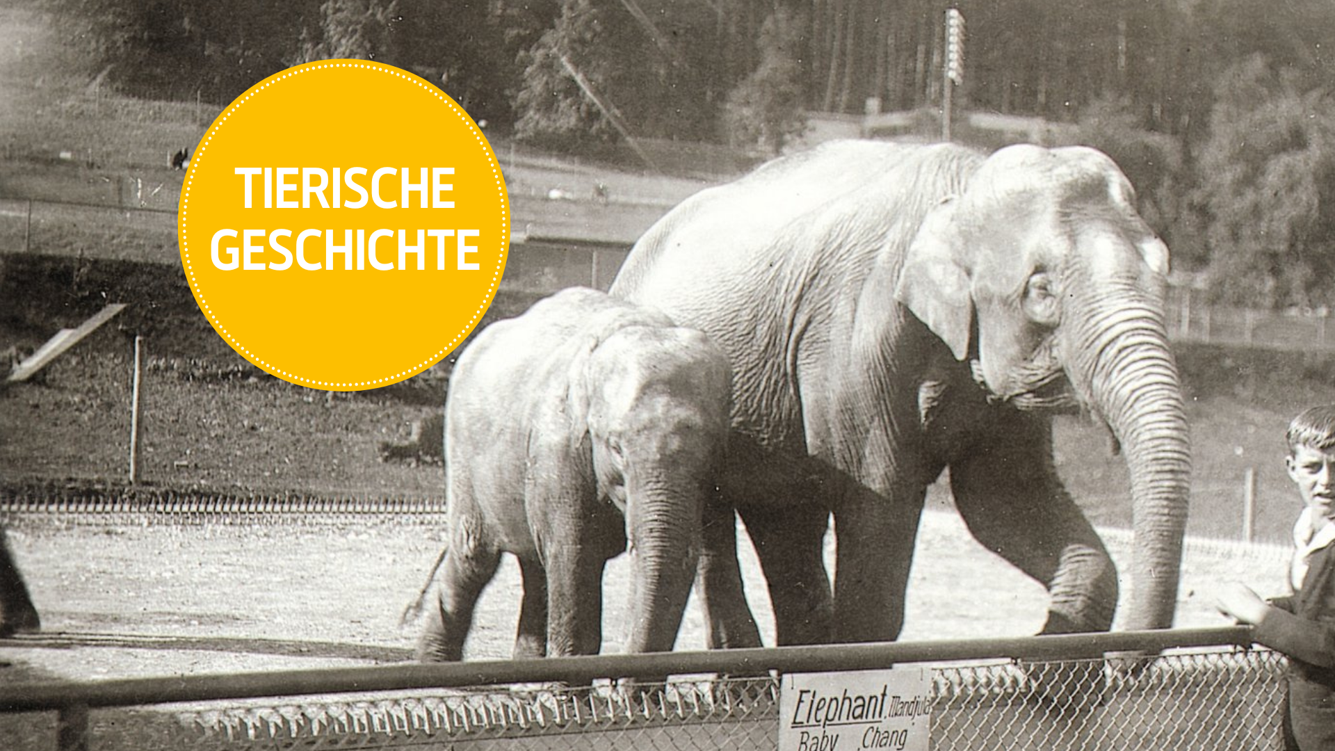 Ein tierischer Blick zurück