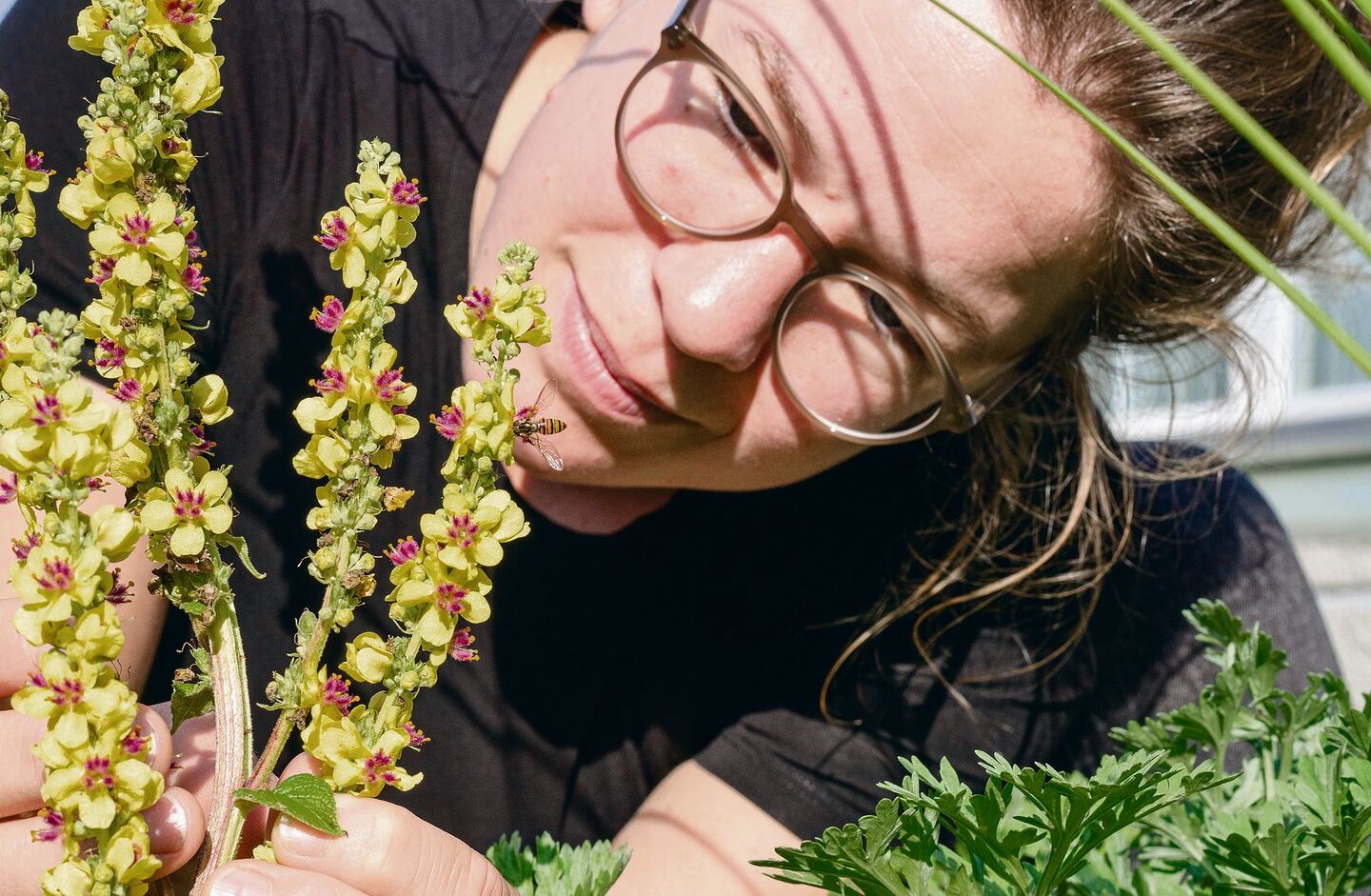 Simona Zahner liebt nicht nur das Baumklettern, sondern auch Naturgärten für Insekten.