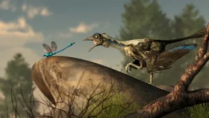 Vom Urvogel Archaeopteryx ist eine neue Art bekannt.