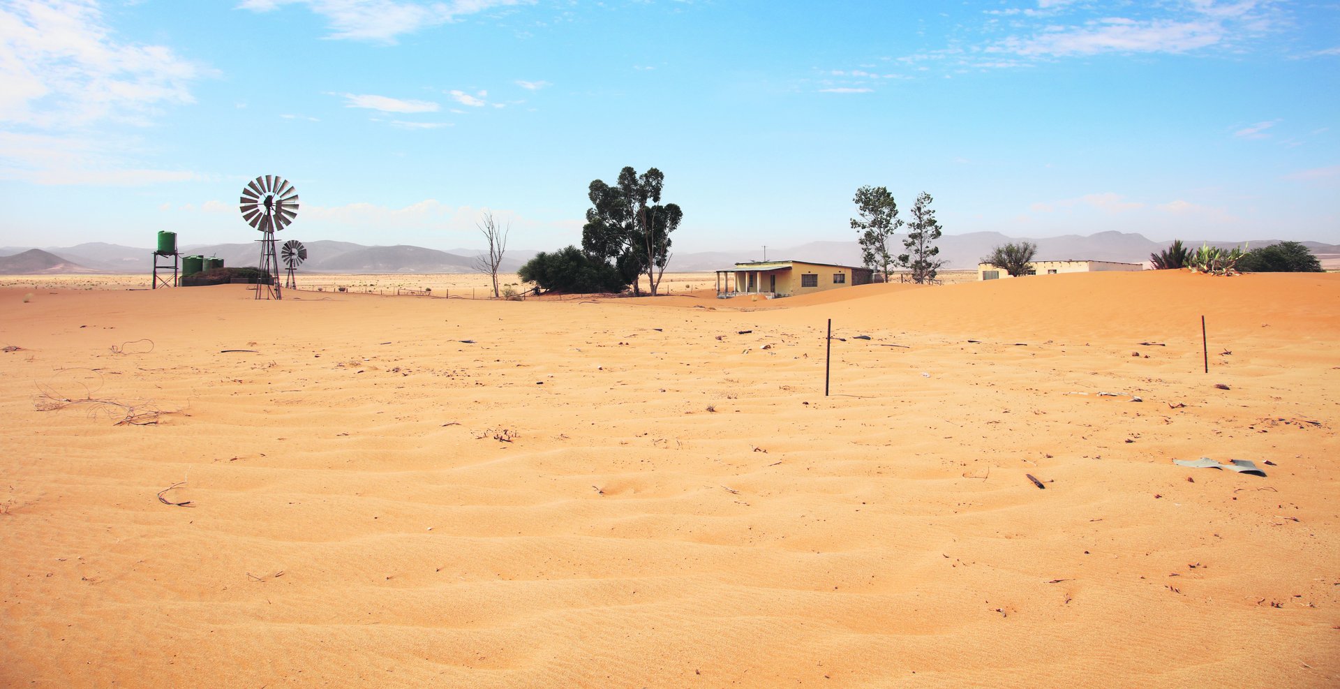 Namib-Wüste verschluckt Hotspot der Artenvielfalt