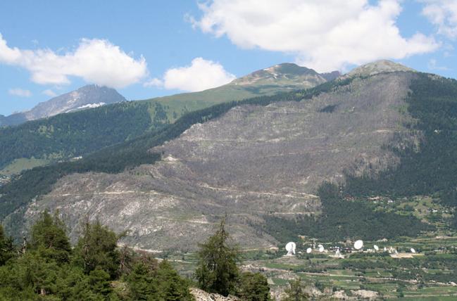 07Waldbrandflaeche-oberhalb-Leuk-c-Marco-Moretti-wsl.jpg