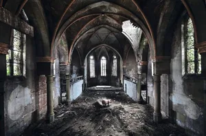 Die Rückeroberung: Auf folgenden Bildern sehen Sie, wie sich Tiere zurück holen, was der Mensch Ihnen genommen hat – inszeniert von Fotograf Henk van Rensbergen.