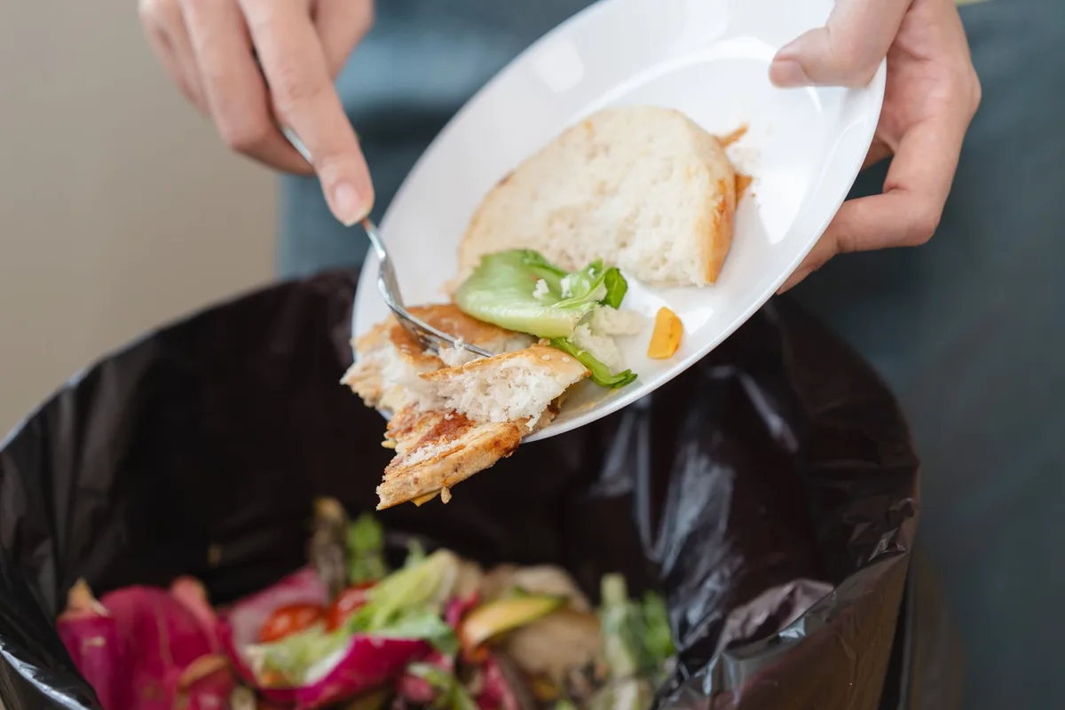 shutterstock_2673256853 Lebensmittelverschwendung: Was eine Woche ohne Food Waste in der Schweiz bewirken könnte