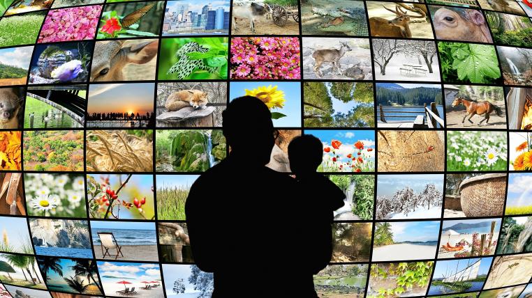 Natur- und Tierfilme