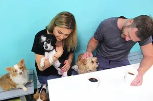 Im Hundecafé begegnen Menschen Hunden, die einen Adoptionsplatz suchen.