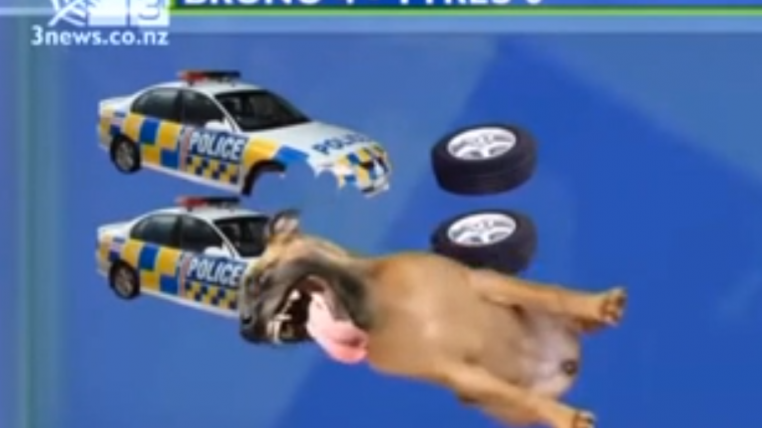 bruno.png