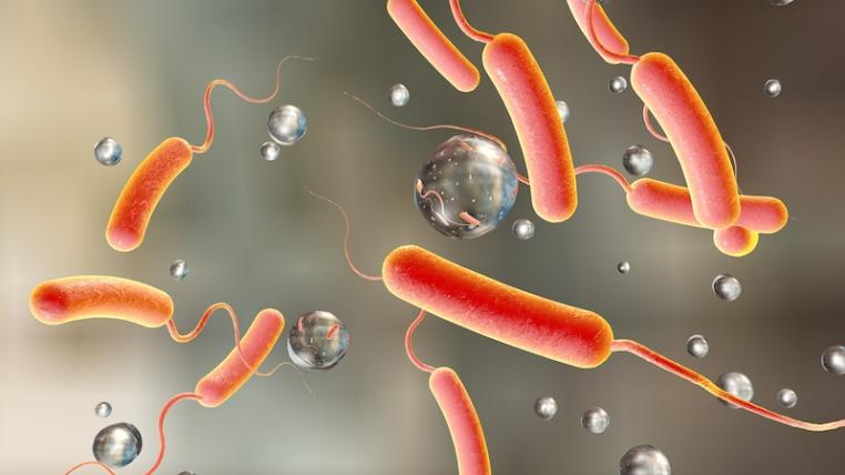 Cholera