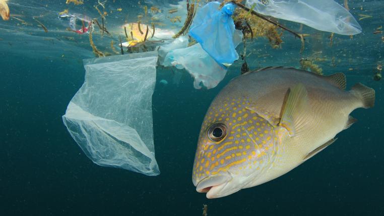 Plastiksäcke im Wasser