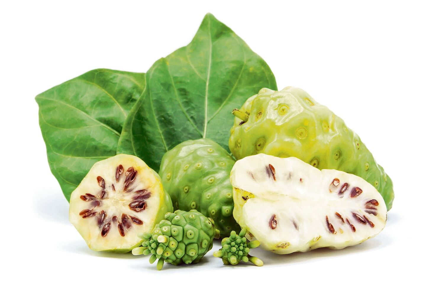 Noni