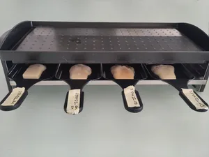 Geschmacklich überzeugte das vegane Raclette, obwohl es nicht mit echtem Käse zu verwechseln ist.