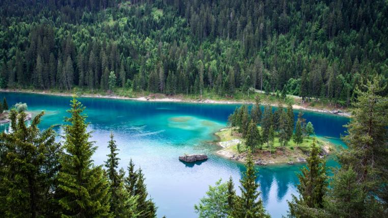 schweizer-wald-verkraftet-trockenheit.jpg