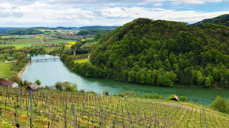 e1962ba09c82050ae5248f52a988e3b0786bc412 Blick auf Rhein und Wald in Schaffhausen