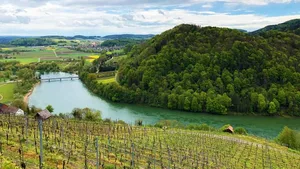 Der Wald im Kanton Schaffhausen ist in den letzten zwanzig Jahren natürlicher geworden.