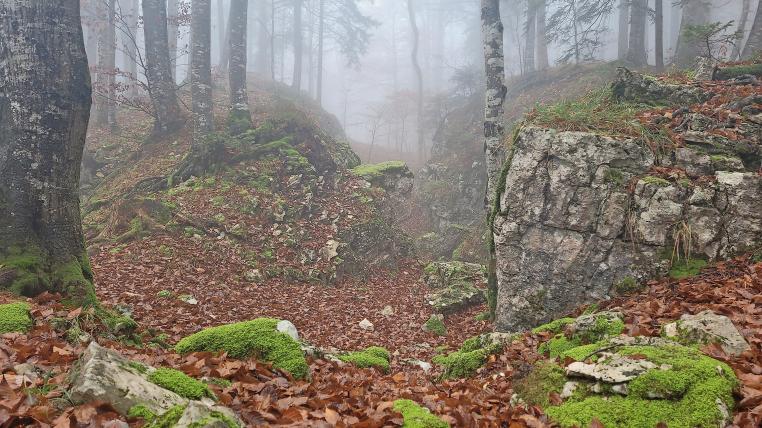 Wandern im Chasseral