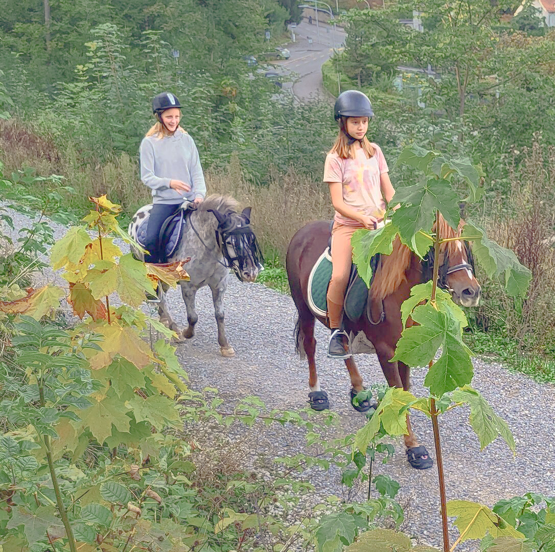 Mädchen und Ponys im Zürcher GZ Buchegg