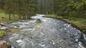 Der Doubs, etwa 100 m unterhalb seiner Quelle.