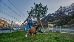 In der 120 Quadratmeter grossen Hundefreilaufzone der Gotthard Raststätte in Fahrtrichtung Nord können sich Hunde austoben.