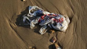 Verrottung von Plastik dauert 200 Jahre. (Symbolbild)